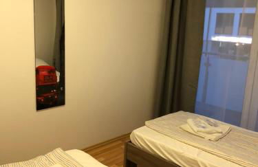 Sahara Falcon - Photo 116