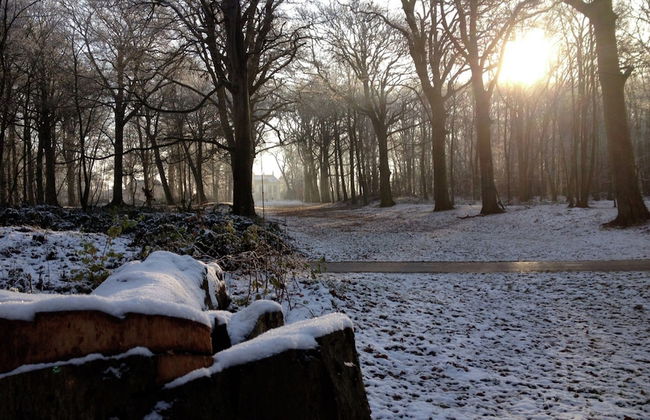 Peacefule Holiday Home for 2 People in Heiloo near Egmond - Foto 23