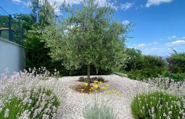 Villa Marta - Foto 58