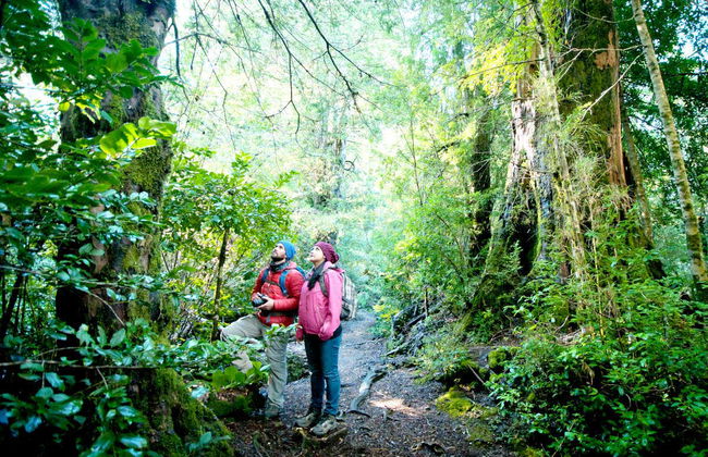Excursión a Puerto Blest y Cascada de los Cántaros - Foto 4