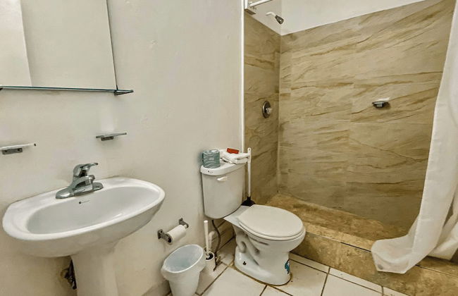 Gladiolas 1102 - Foto 10