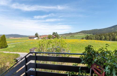 Ferienhaus in Bayern am Großer Arber - Foto 4
