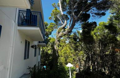 A casa di Ludo - Foto 41