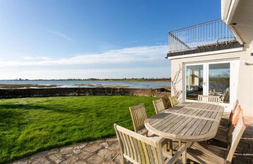 Snow Goose - Foto 18