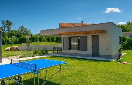Modern villa Fritula with pool in Vizinada - Foto 36