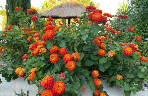 Lemodernlounge, hébergement cosy moderne spacieux - Foto 26