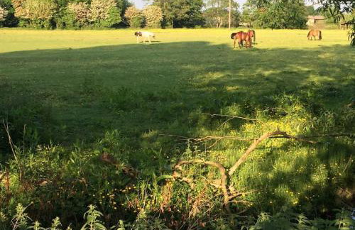 Four bed barn conversion Junction 37 38 M1 - Foto 11