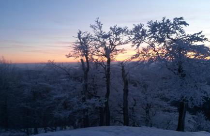 Pochebachhäusl - Foto 18