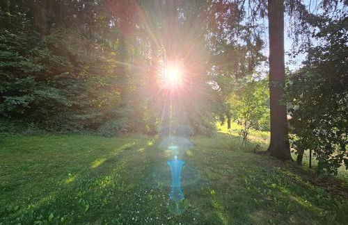 Tiny House mit eigener Sauna am Waldrand in der Fränkischen Schweiz - Foto 54