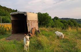 Haus Eselsblick - Foto 17