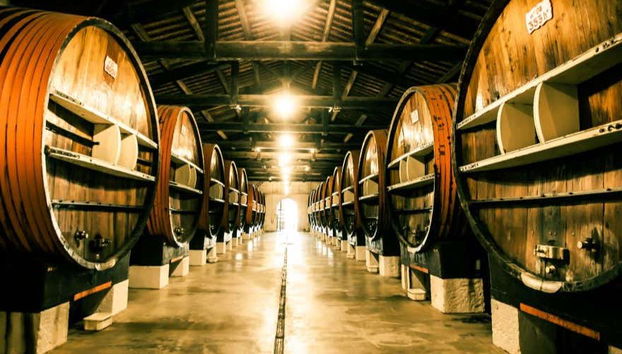 Tour in Marseillan - Foto 4