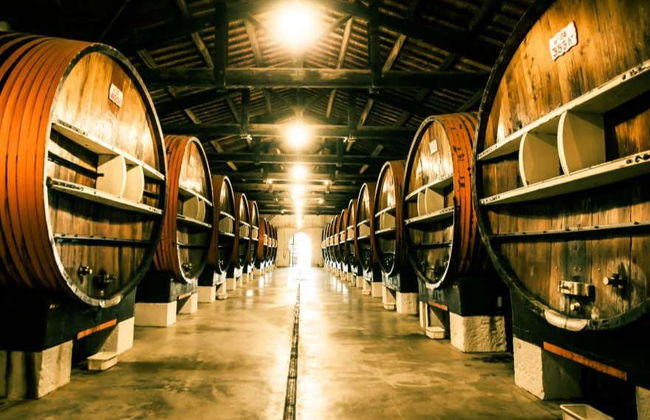 Tour in Marseillan - Photo 4