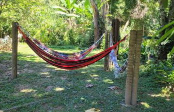 Sítio Com riacho particular em Cachoeira de Macacu - Foto 37