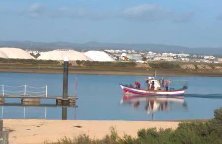 Garden Apartment Quinta do Morgado - Foto 36