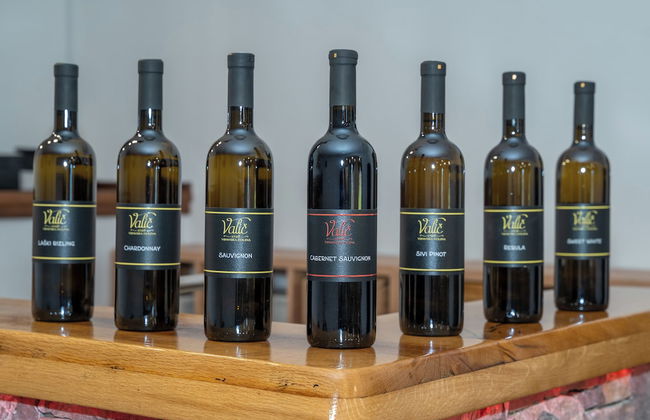 Tourist Farm Valic - Apartment and Winery - Photo 20