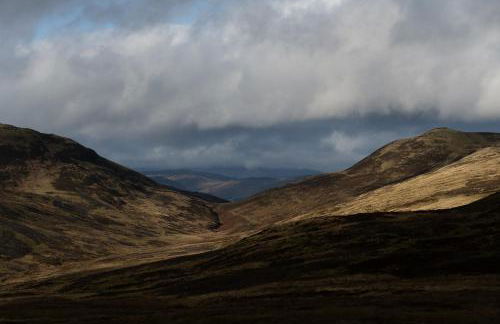 Capercaillie Cottage - Luxury converted steading - Photo 21