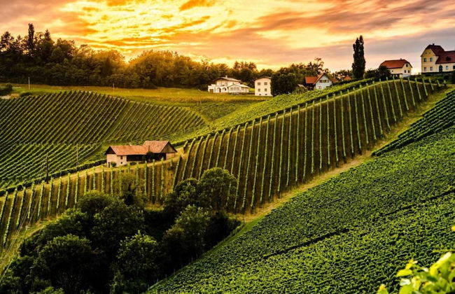 Villa Elaionas 1 - Foto 50