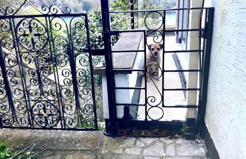 3 Bed in Kingswear oc-sdomeg - Foto 2