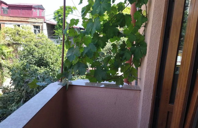 ApartHotel Otin - Foto 11