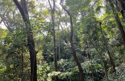 Chalé na Floresta - Refúgio Natural - Photo 24