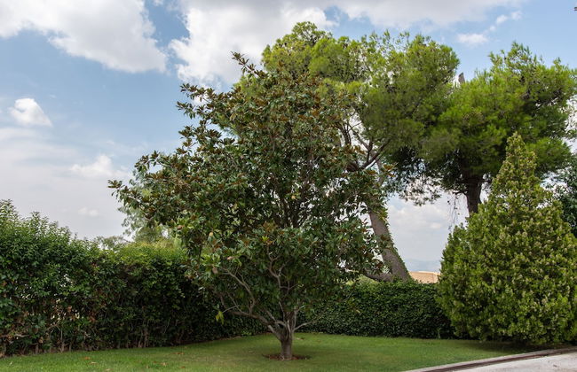 Villa Nina - Foto 55