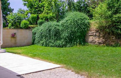 Cozy Home In Montignac With Kitchenette - Foto 9