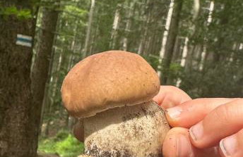 Chełmski Zakątek - Foto 22