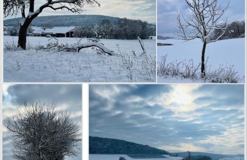 FeWo Uettingen Mitte - Foto 13