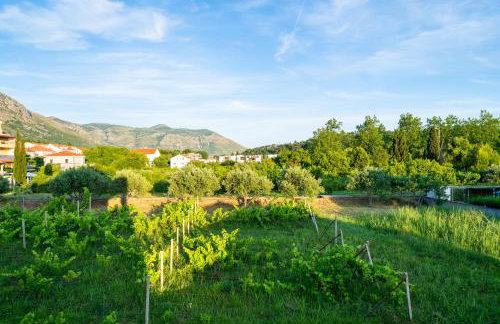 Olive Family house - Photo 30