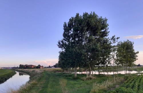 Corte Galvana - Foto 128