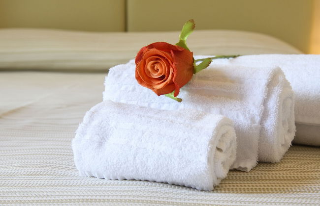 Domus il Palio B&B - Foto 7