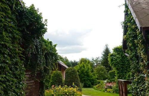 "Jabłonie i grusze" Nice home in a big garden with sauna and wifi - Foto 20