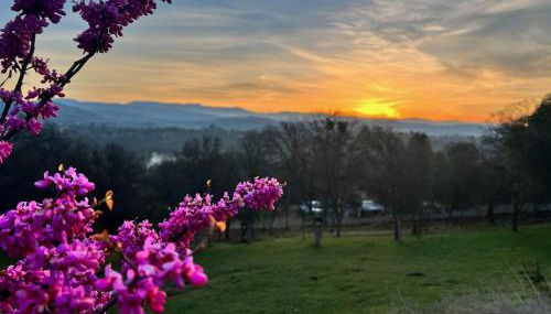 Sierra Ranch - A Yosemite Retreat - Foto 3