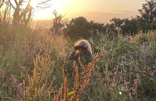 Elm - Bell Tent 2-4 Person Anglesey, North Wales - Photo 26