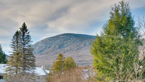 Close to Smuggs Lifts! Cozy Mountain-View Condo - Foto 4