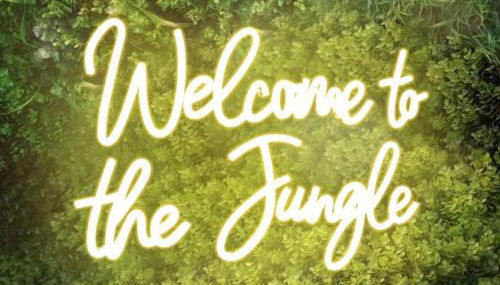 Jungle room - Lyon Est - Foto 5