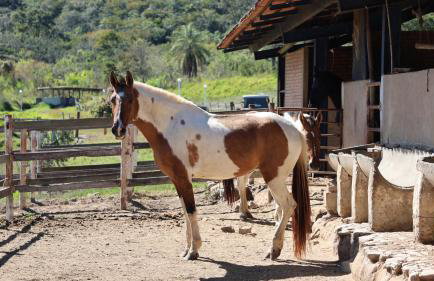 Rancho Topo da Montanha, 60 km de Belo Horizonte - Foto 24