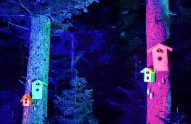 FreiRaum Panorama-Appartement mit Pool & Sauna - Foto 29