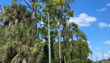 Florida condo close to Warm Mineral Springs - Foto 3