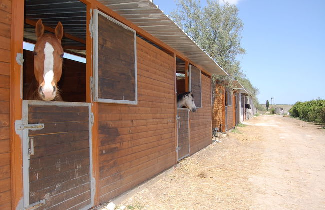 Il Giardino del sole - Foto 42