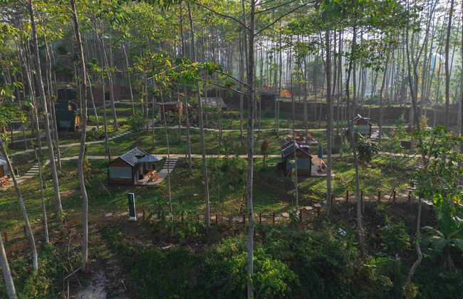 Bobocabin The Tavia Puncak - Foto 23