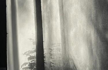 Ferienhaus Birke - Foto 60