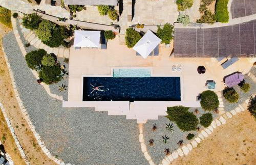 Archipelagotinos - Foto 6