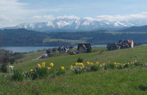 SASÓWKA APARTAMENT - Foto 27