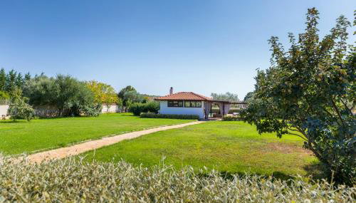 Casa La Vida - Photo 3