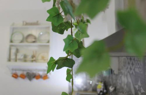 Alli Rotti Guest House - Foto 28