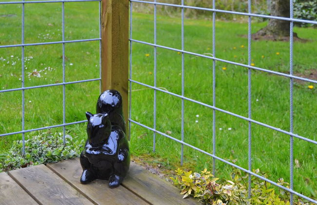 "Elisabeta" - 28km from the sea - Foto 12