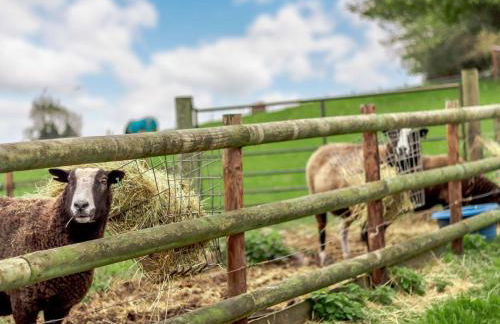 3 Bed in Llantilio Pertholey 90233 - Foto 21