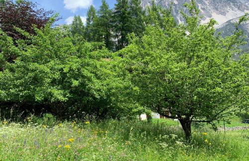 Piccolo gioiello di montagna - Photo 27