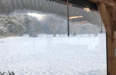 Agroturystyka PLENER - Foto 41